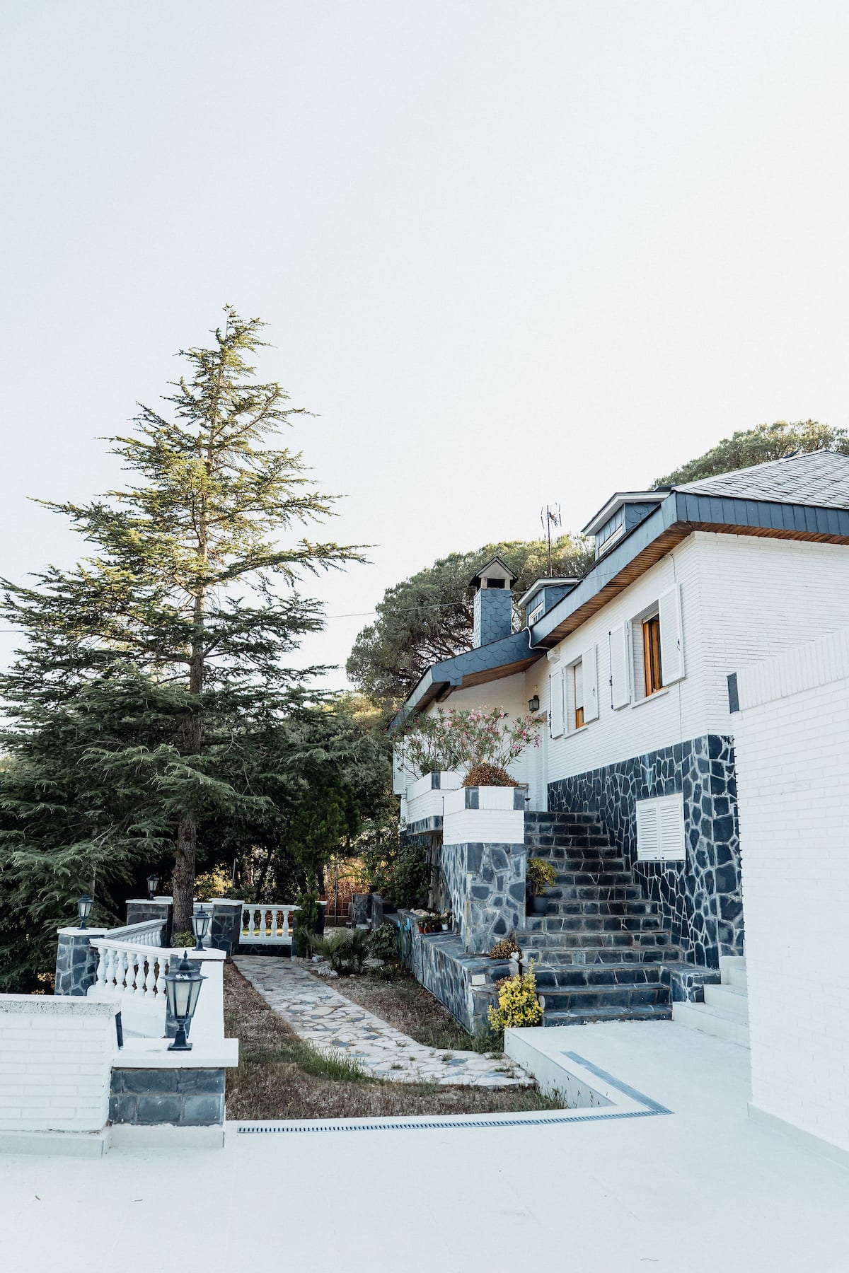 The front of the house, with stone steps up from the garden and pines behind